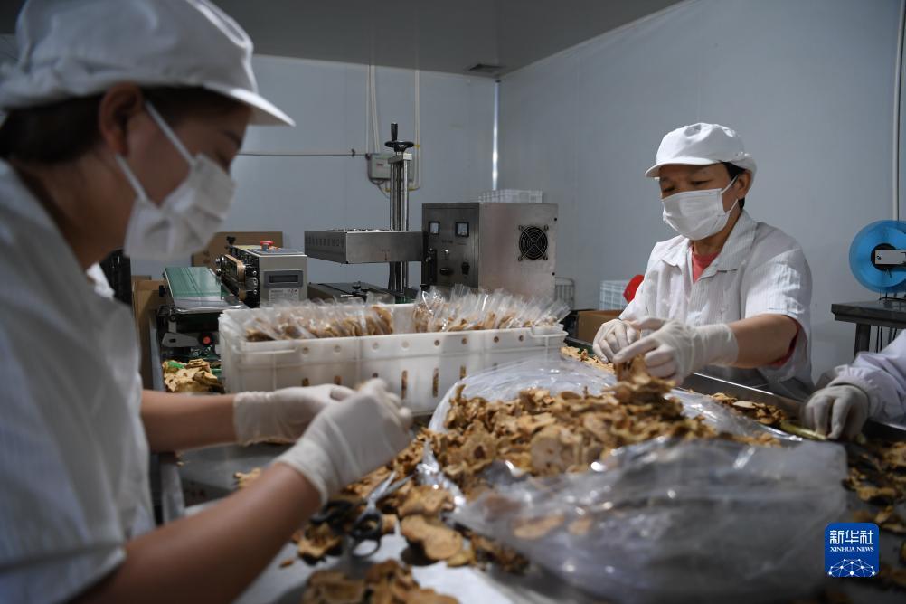JJ捕鱼显示血量